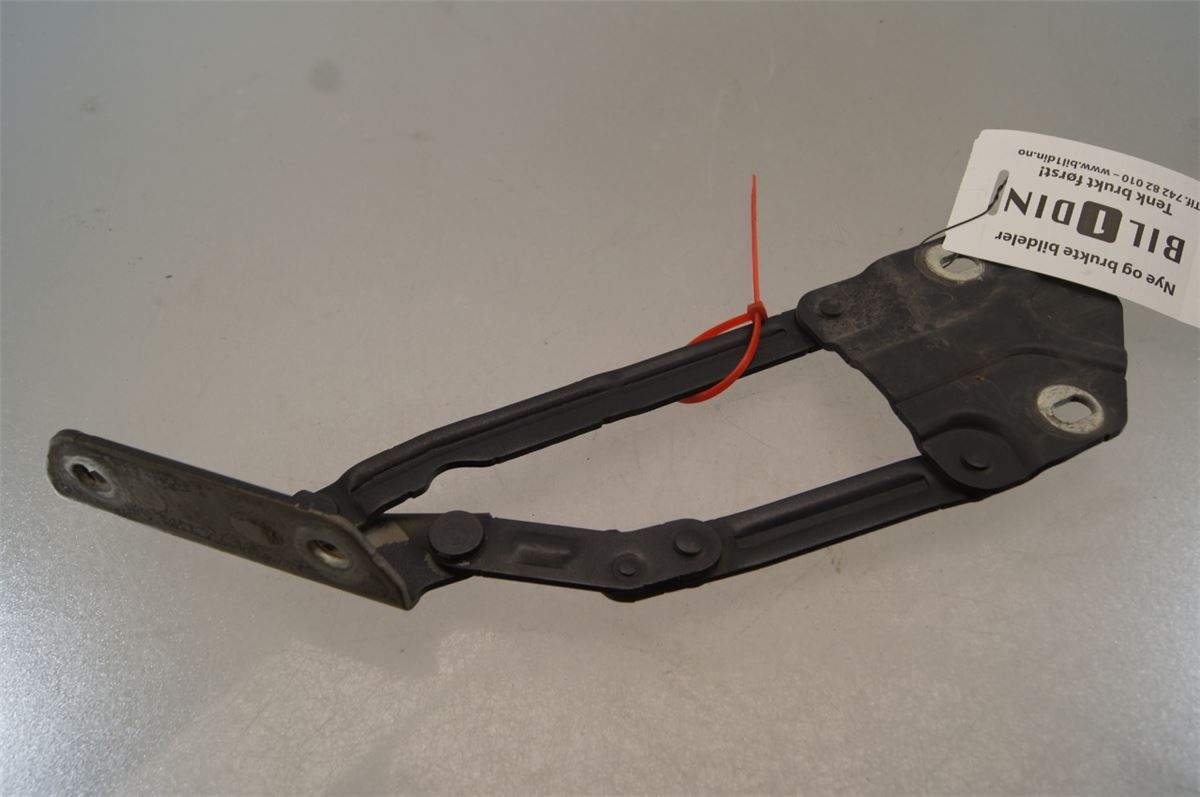 Panser Hengsel / Hengsler – bilde 1