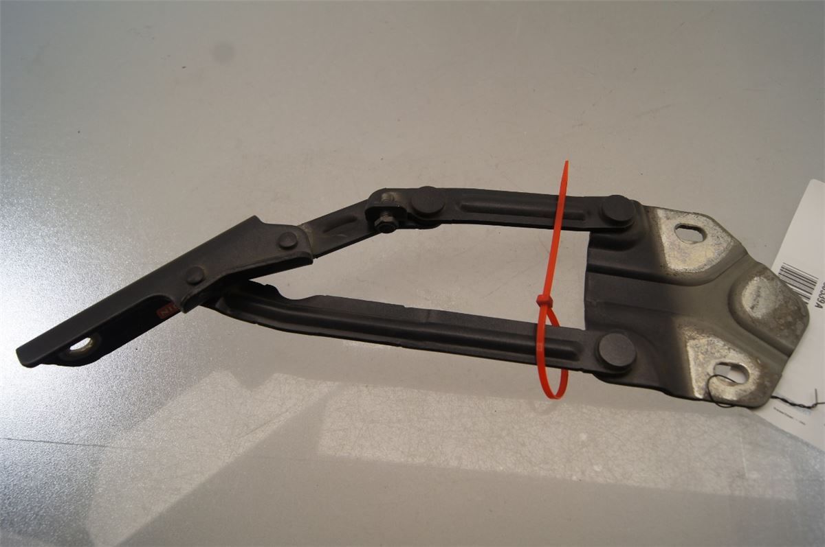 Panser Hengsel / Hengsler – bilde 2