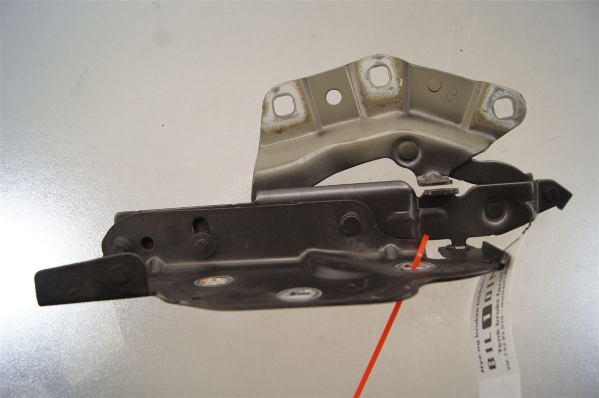 Panser Hengsel / Hengsler – bilde 1