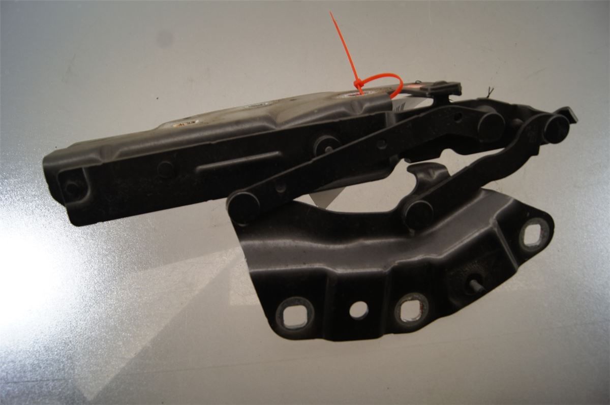 Panser Hengsel / Hengsler – bilde 2