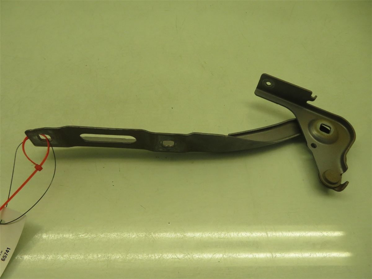 Panser Hengsel / Hengsler – bilde 2