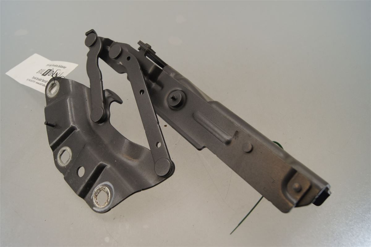 Panser Hengsel / Hengsler – bilde 2
