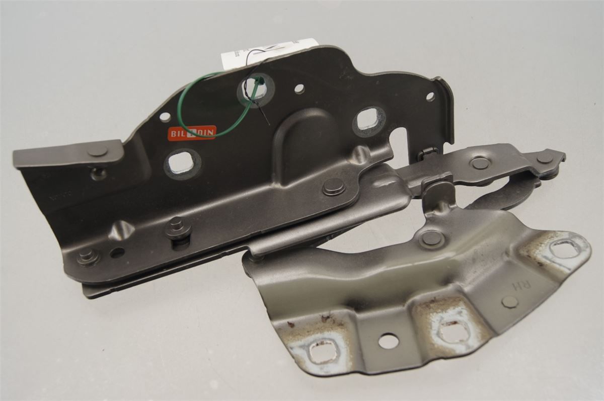 Panser Hengsel / Hengsler – bilde 1