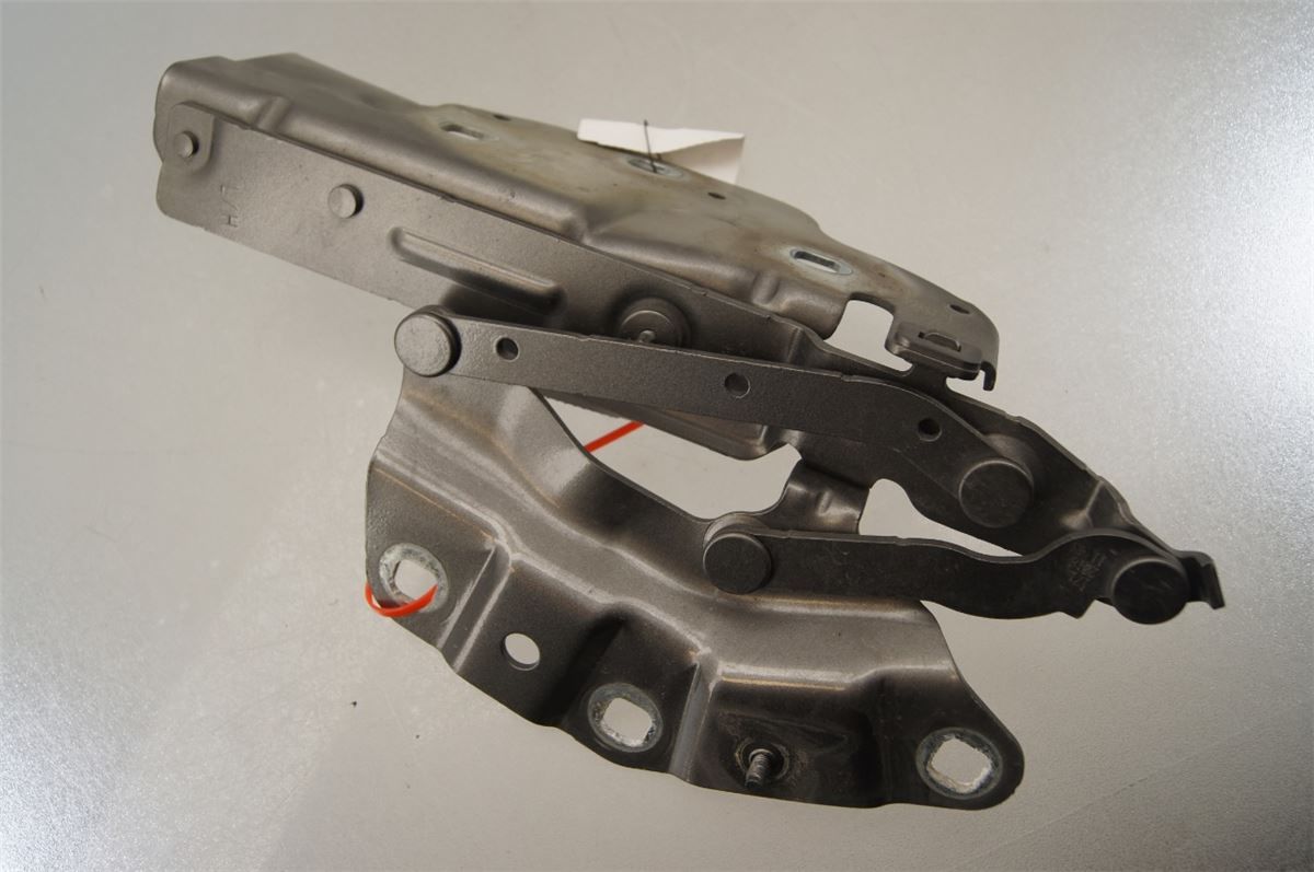 Panser Hengsel / Hengsler – bilde 2