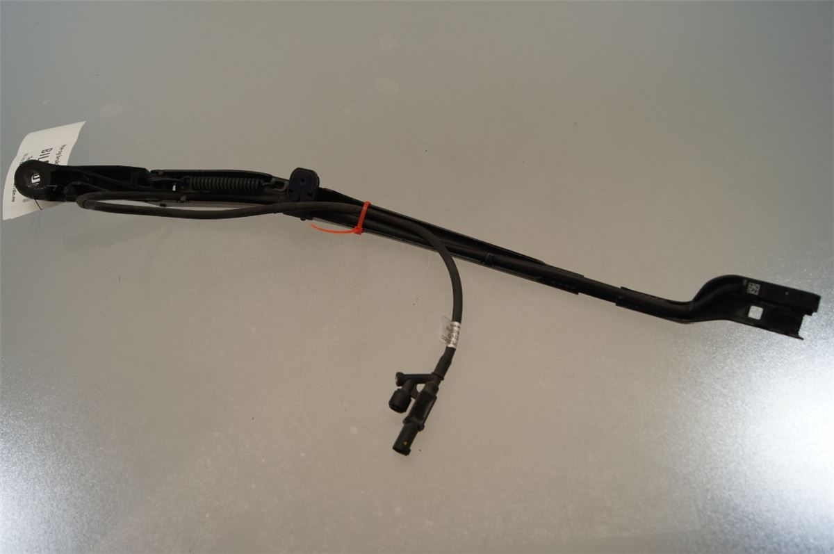 Viskerarm / Armer Frontrute – bilde 2
