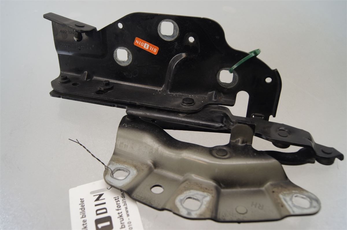 Panser Hengsel / Hengsler – bilde 1