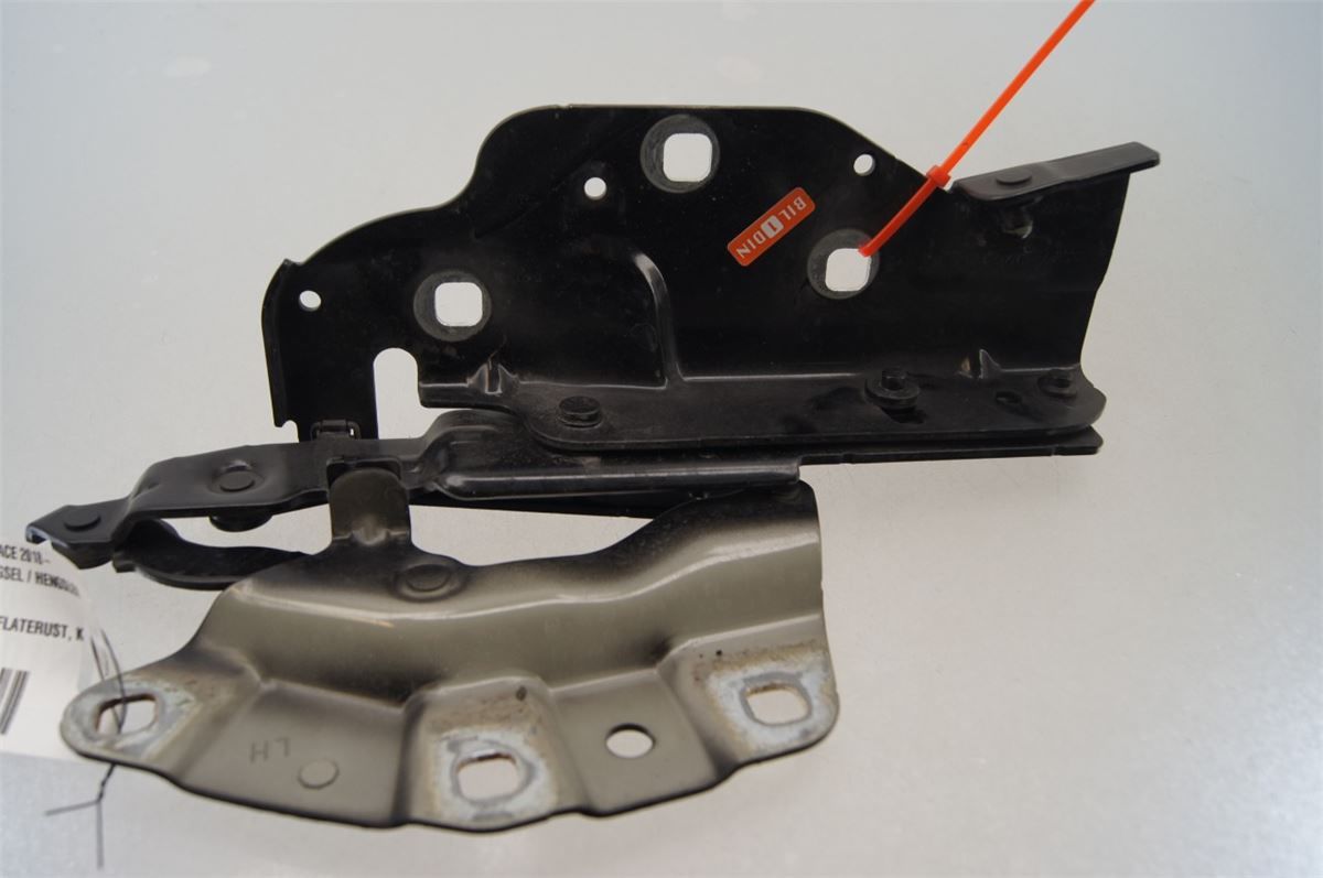 Panser Hengsel / Hengsler – bilde 1