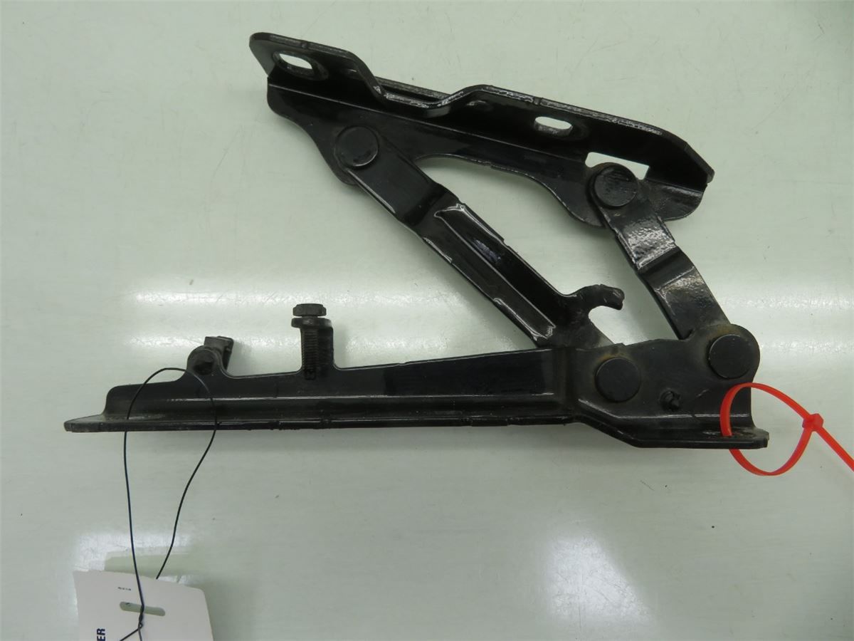Panser Hengsel / Hengsler – bilde 1