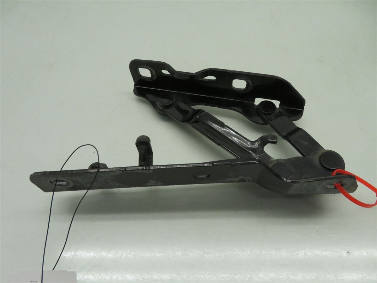 Panser Hengsel / Hengsler – bilde 2