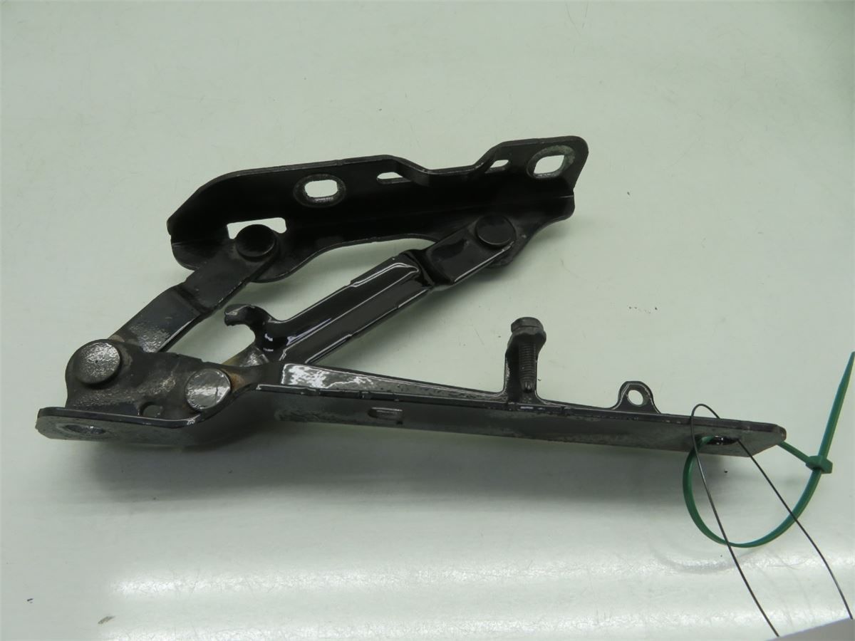 Panser Hengsel / Hengsler – bilde 2