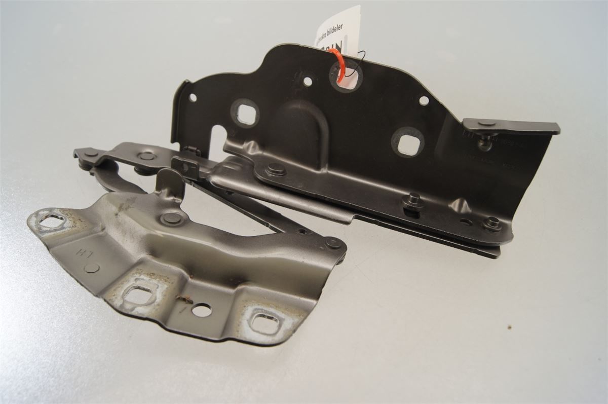 Panser Hengsel / Hengsler – bilde 1