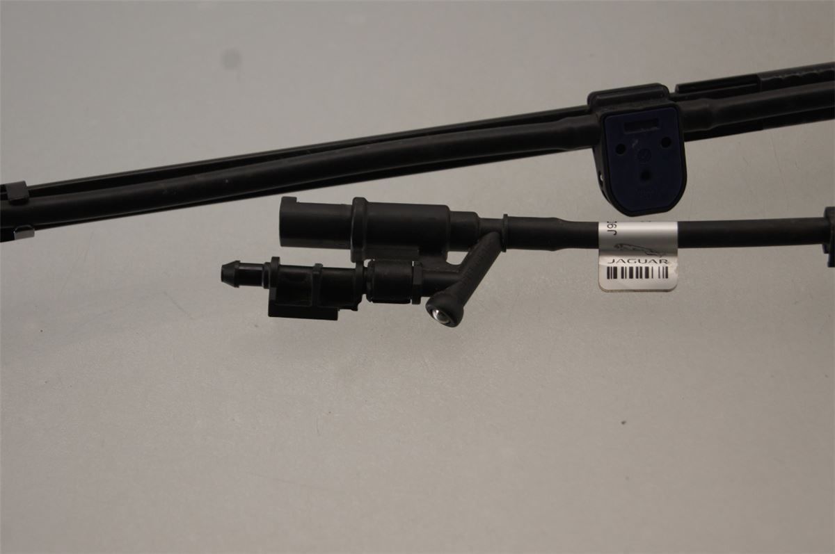Viskerarm / Armer Frontrute – bilde 2