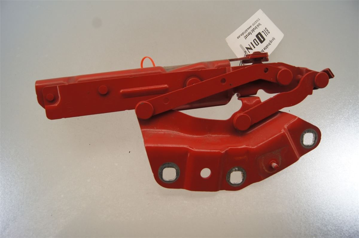 Panser Hengsel / Hengsler – bilde 2