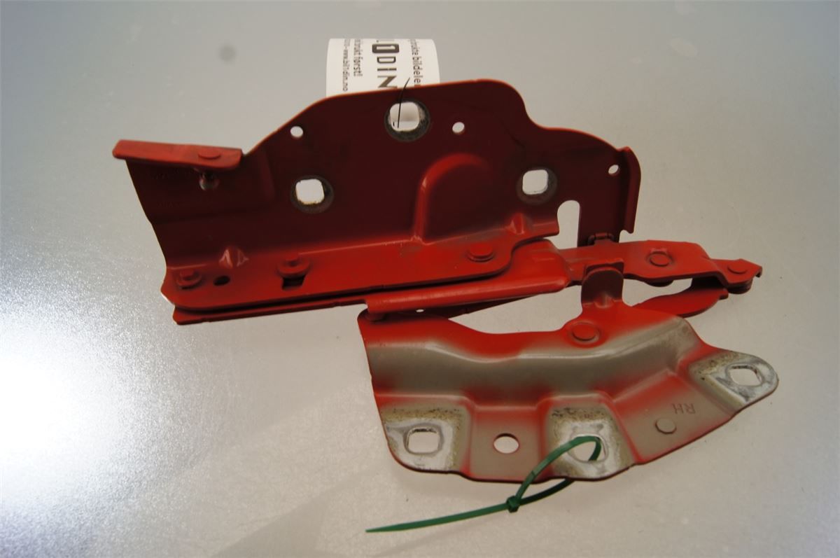 Panser Hengsel / Hengsler – bilde 1