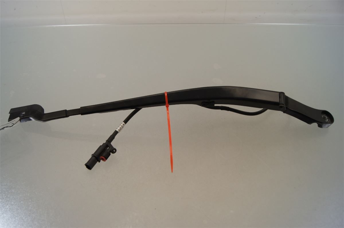 Viskerarm / Armer Frontrute – bilde 1