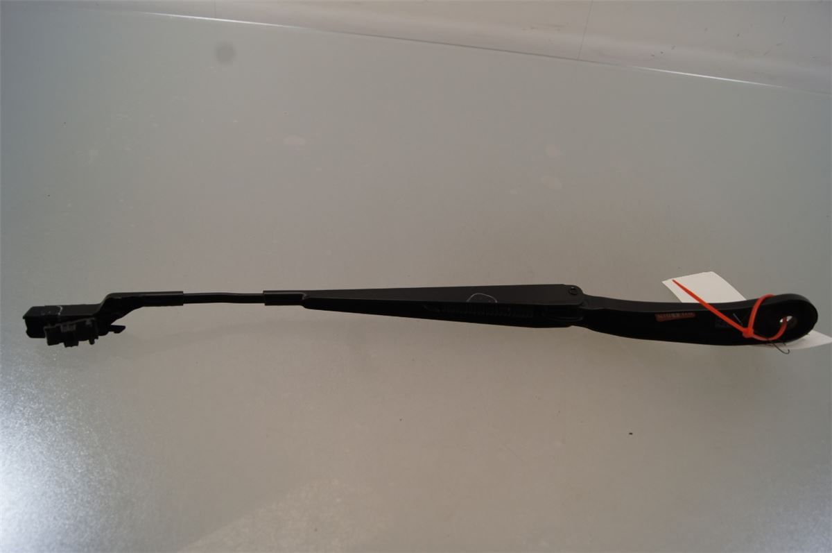 Viskerarm / Armer Frontrute – bilde 4