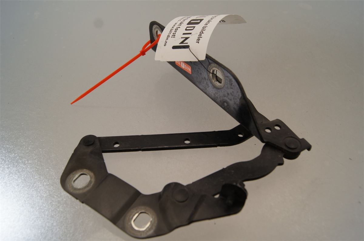 Panser Hengsel / Hengsler – bilde 1