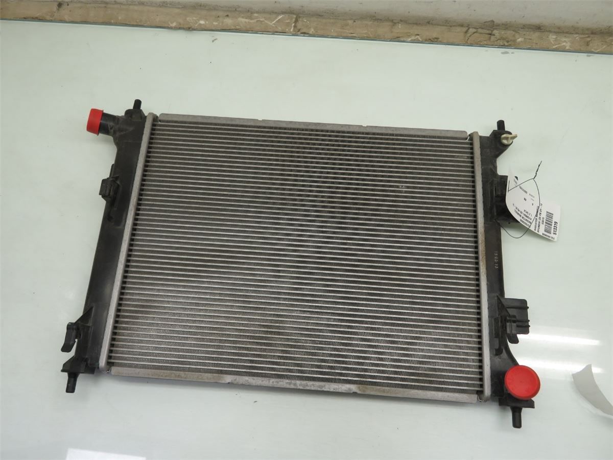 Radiator Manuell – bilde 1