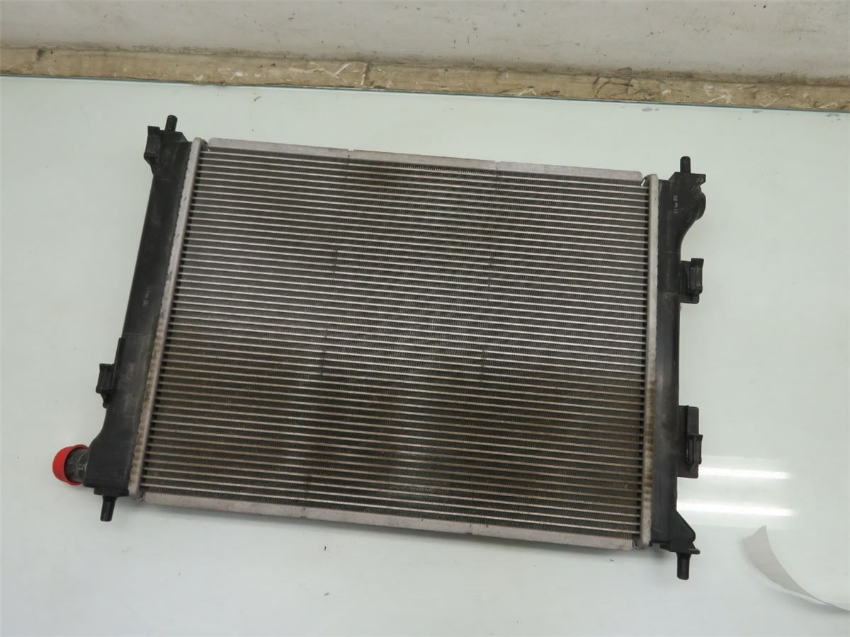 Radiator Manuell – bilde 2