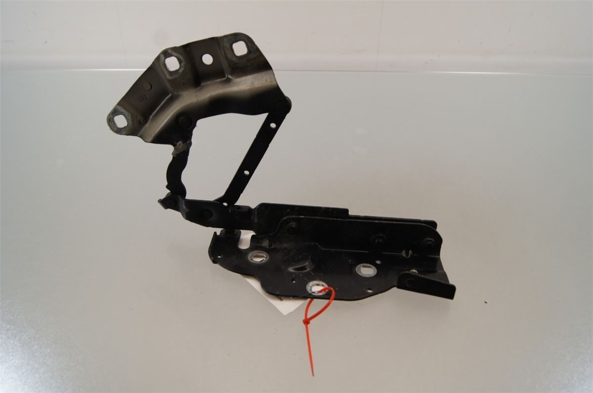 Panser Hengsel / Hengsler – bilde 1