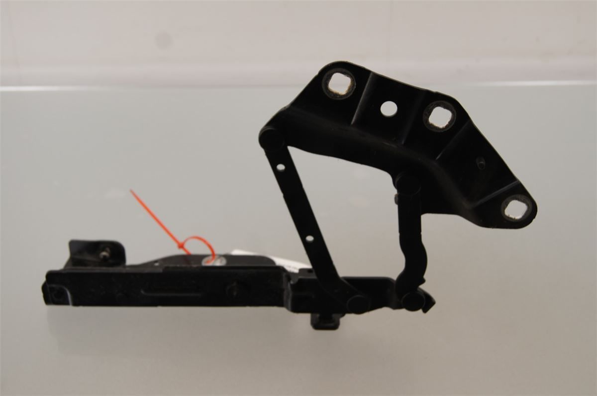 Panser Hengsel / Hengsler – bilde 2