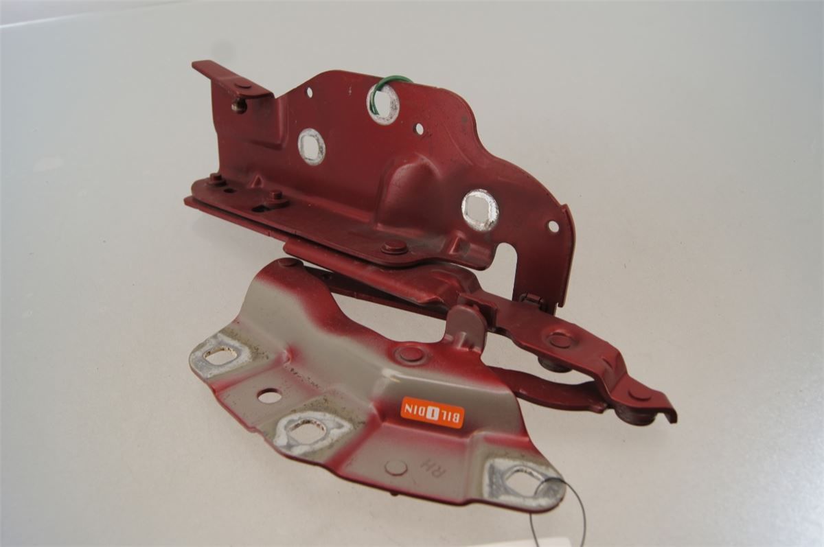 Panser Hengsel / Hengsler – bilde 1