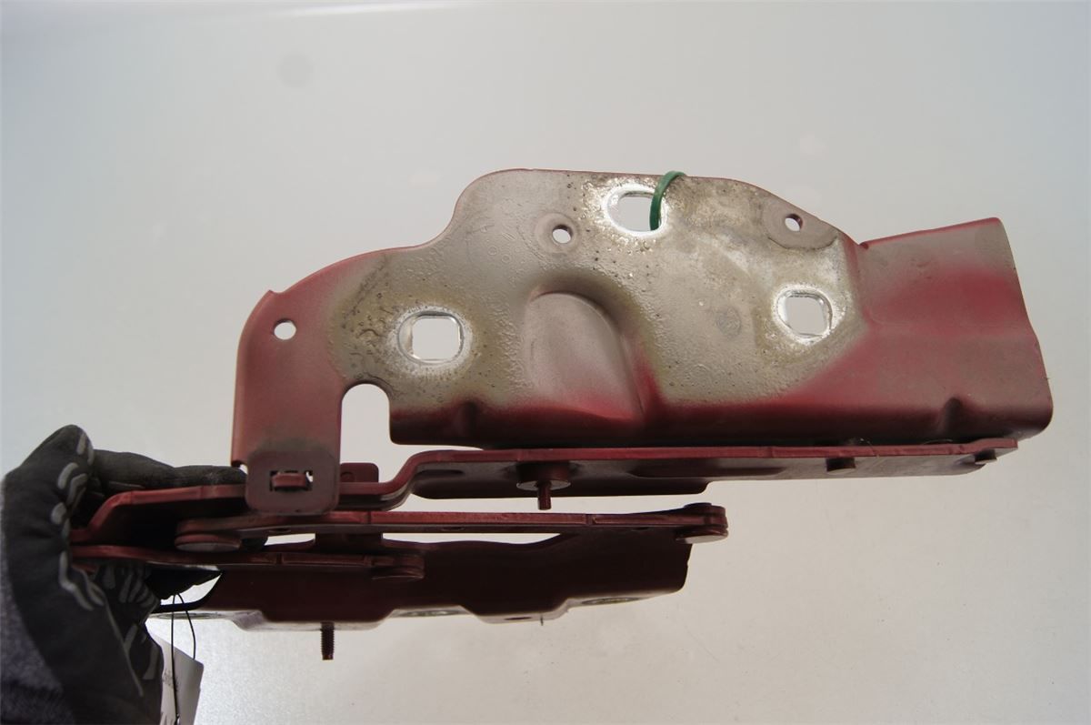 Panser Hengsel / Hengsler – bilde 3