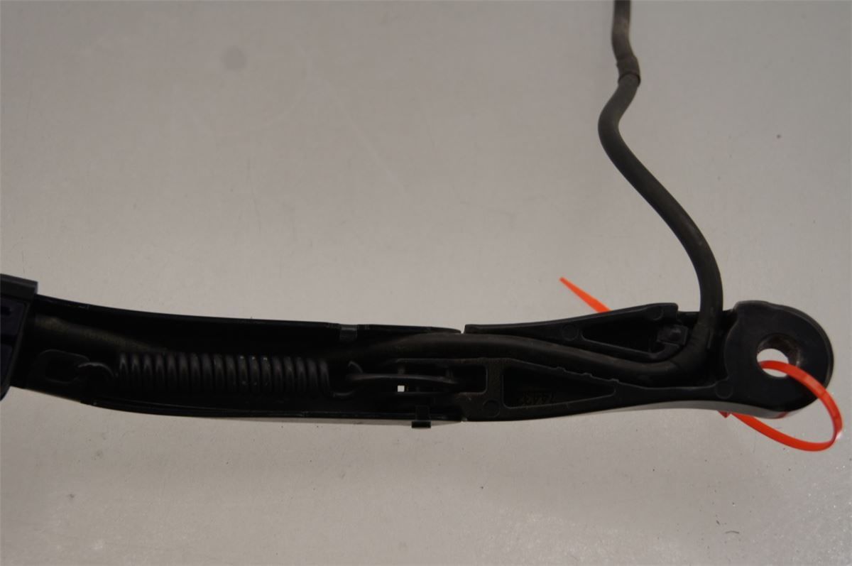 Viskerarm / Armer Frontrute – bilde 4