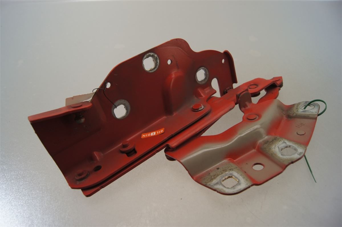Panser Hengsel / Hengsler – bilde 1