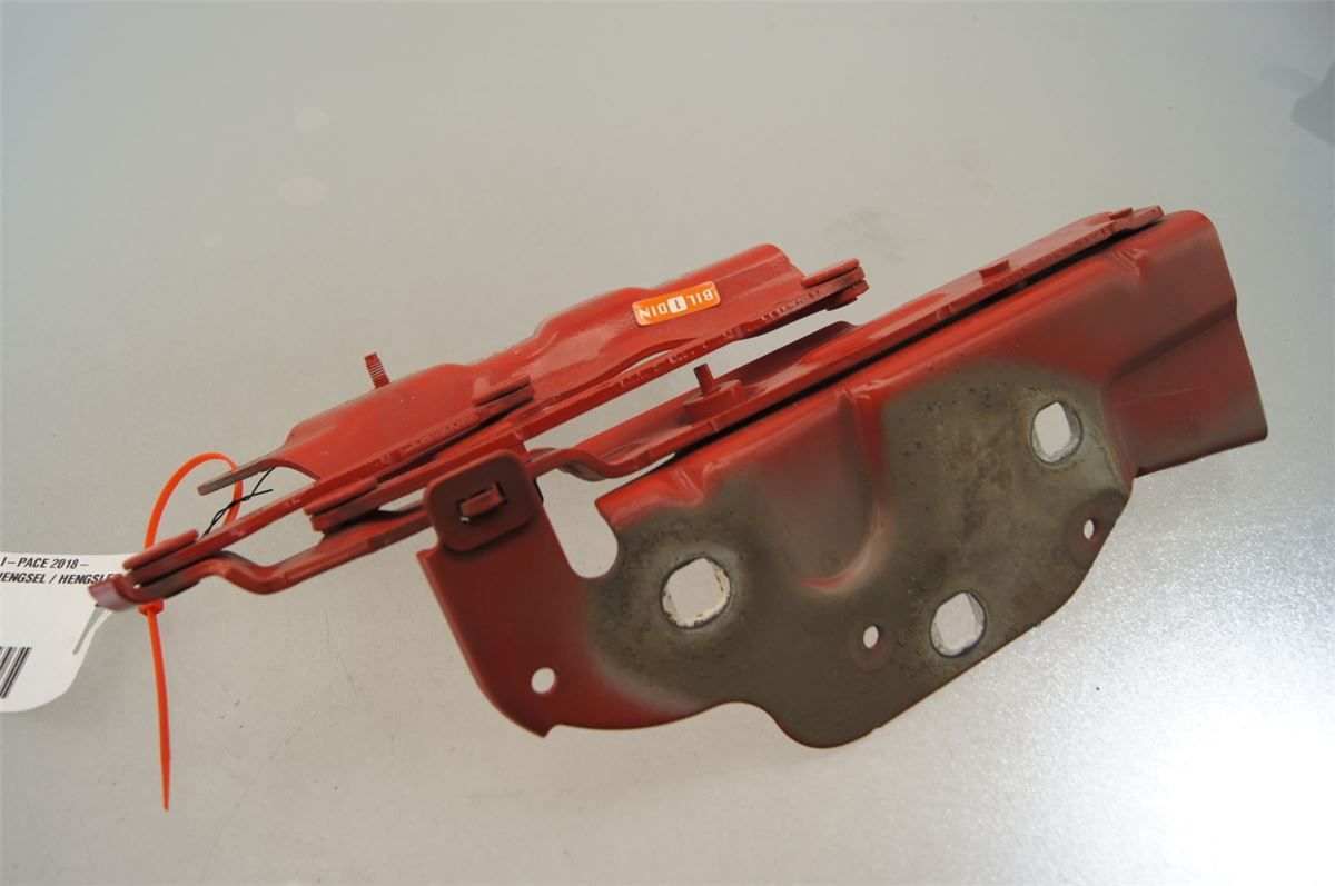 Panser Hengsel / Hengsler – bilde 2