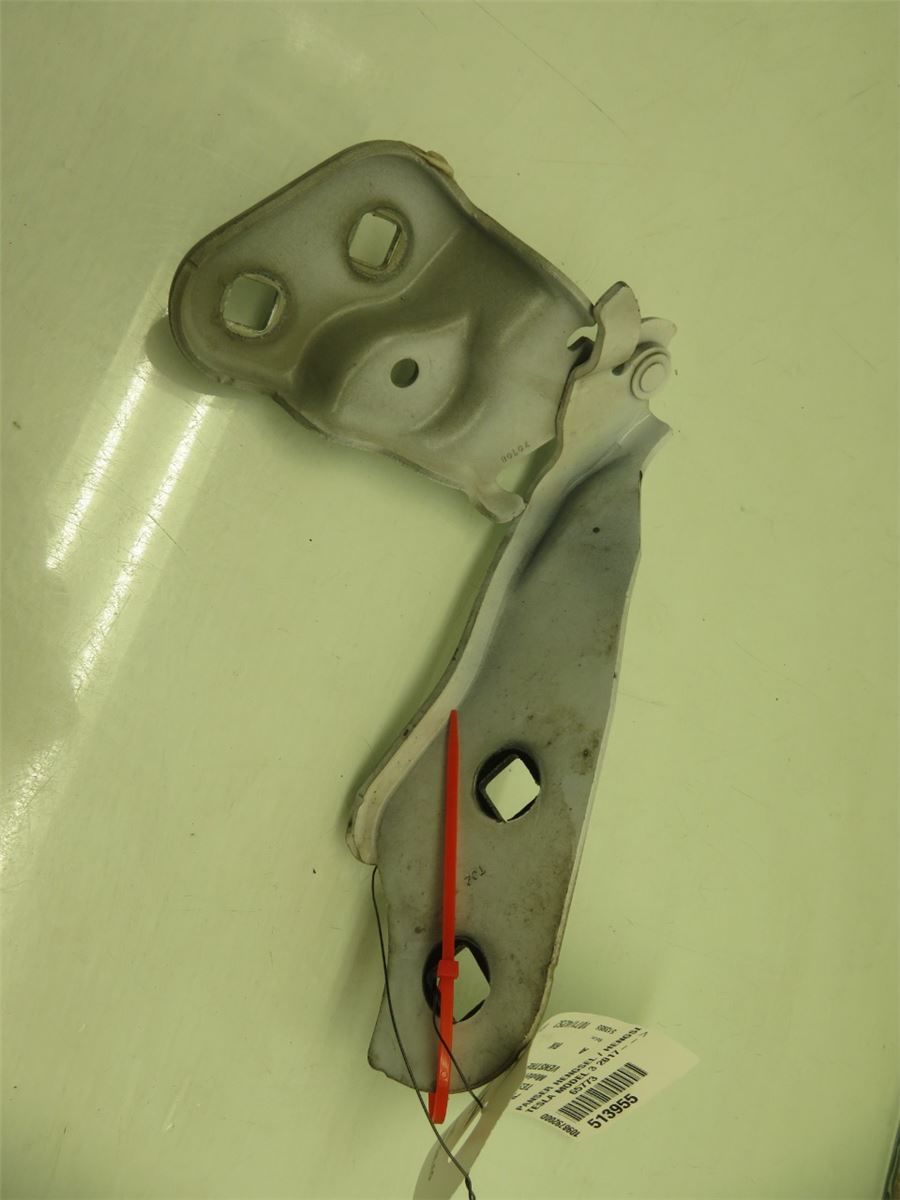 Panser Hengsel / Hengsler – bilde 1