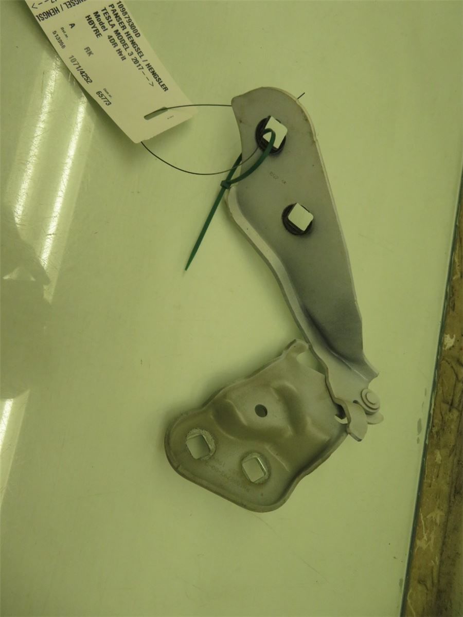 Panser Hengsel / Hengsler – bilde 1