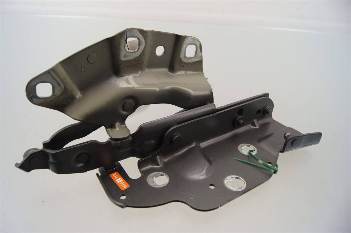 Panser Hengsel / Hengsler – bilde 1
