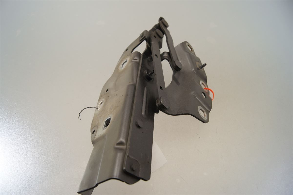 Panser Hengsel / Hengsler – bilde 2