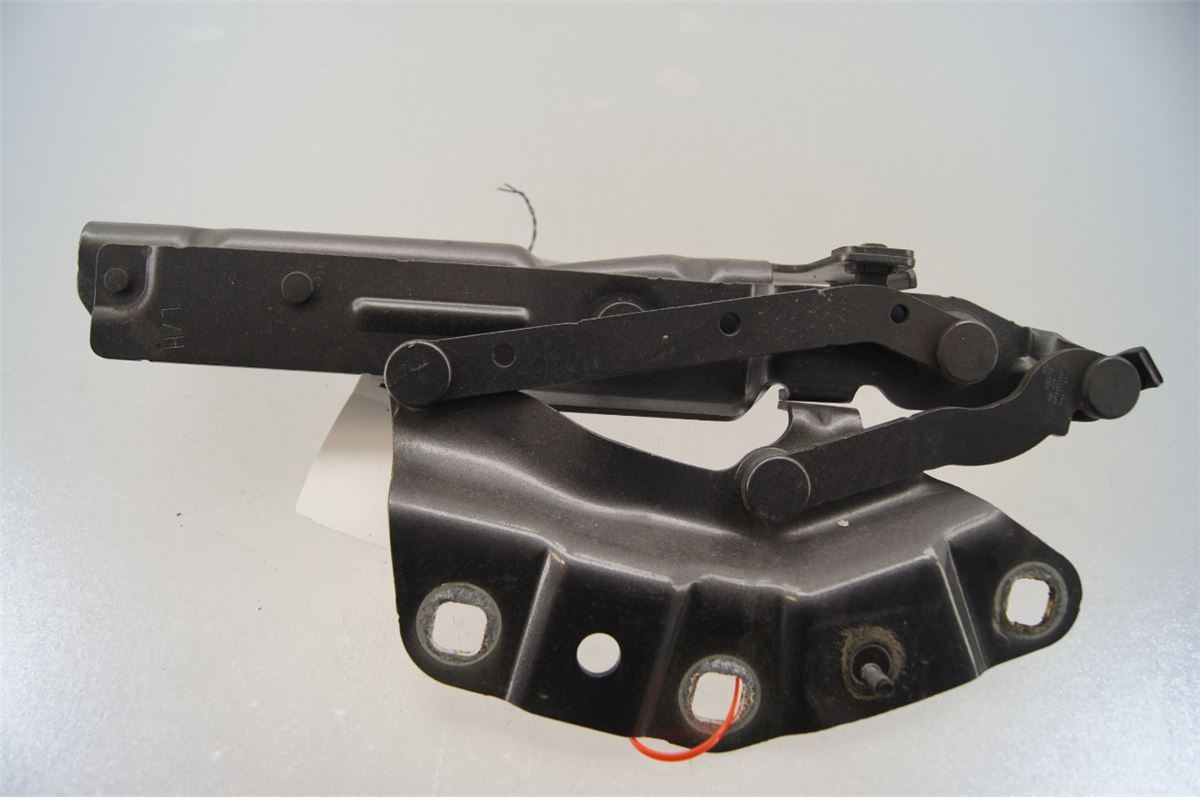 Panser Hengsel / Hengsler – bilde 3