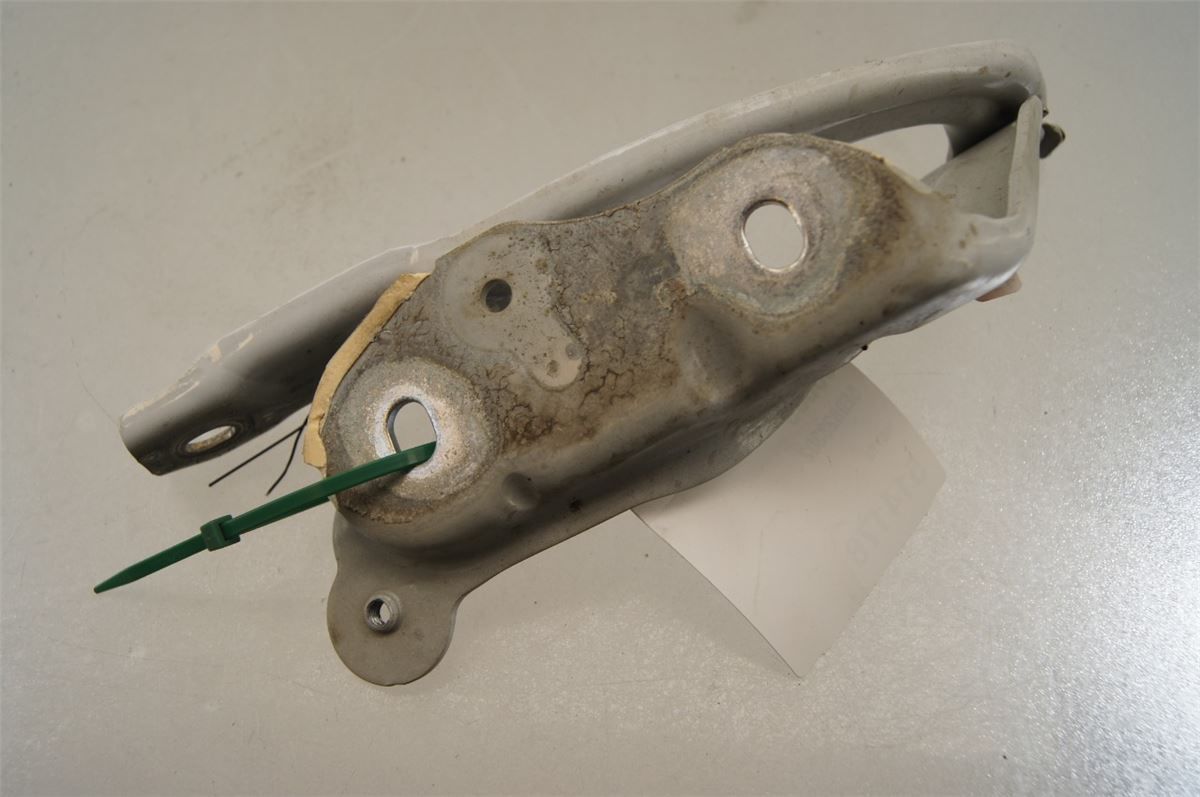 Panser Hengsel / Hengsler – bilde 1