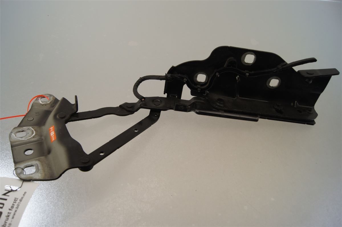 Panser Hengsel / Hengsler – bilde 1