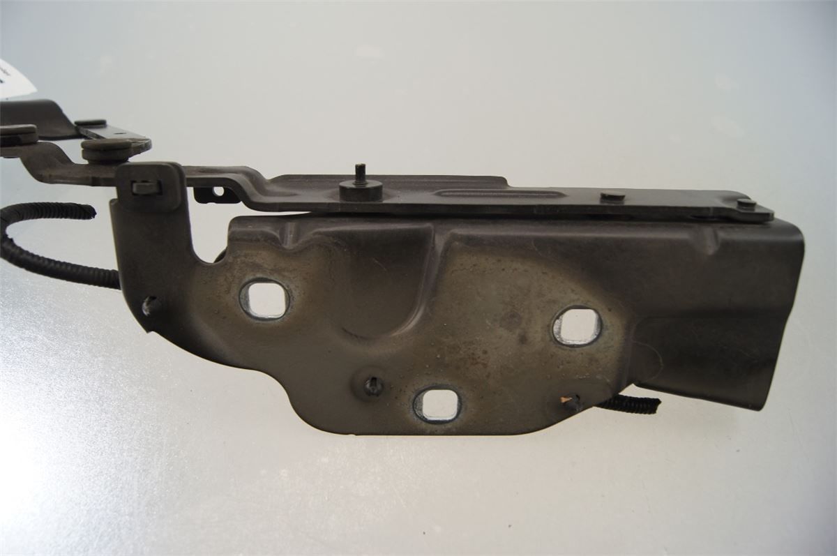 Panser Hengsel / Hengsler – bilde 2