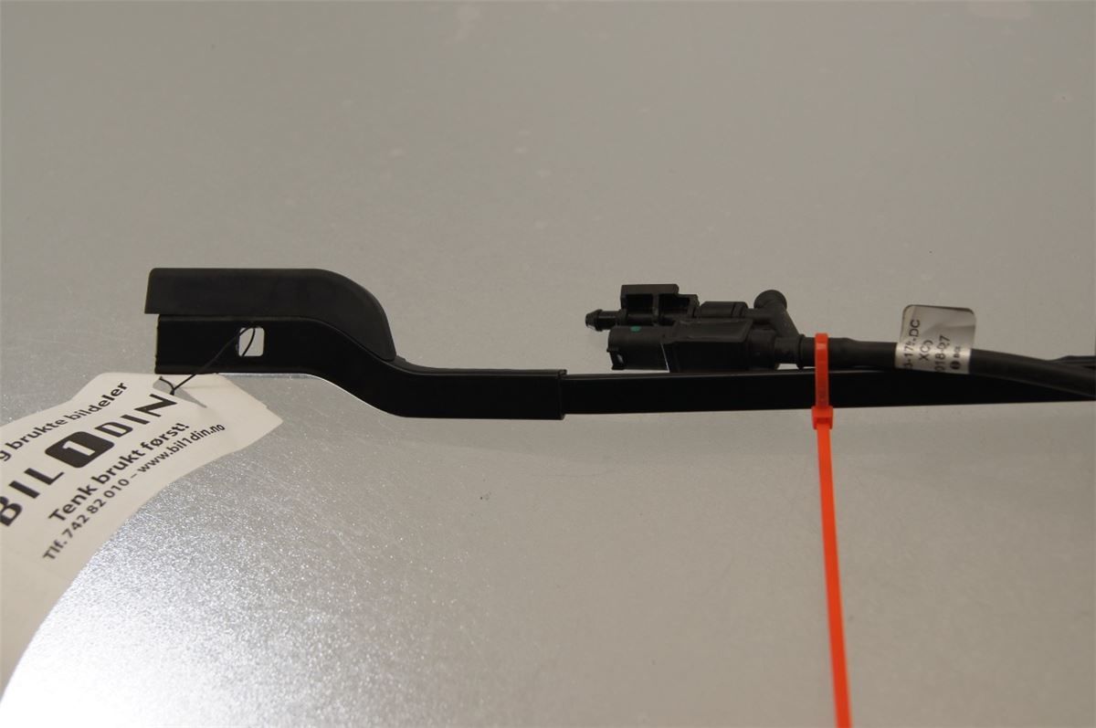 Viskerarm / Armer Frontrute – bilde 2