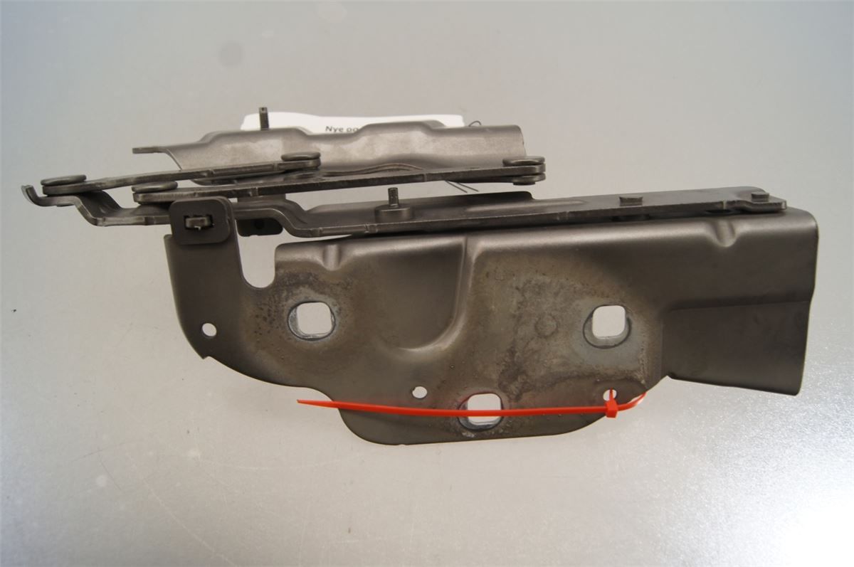 Panser Hengsel / Hengsler – bilde 3