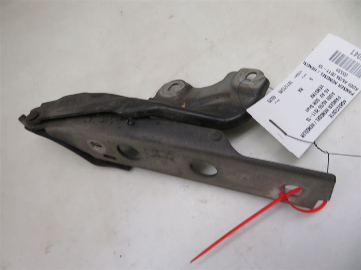 Panser Hengsel / Hengsler – bilde 3