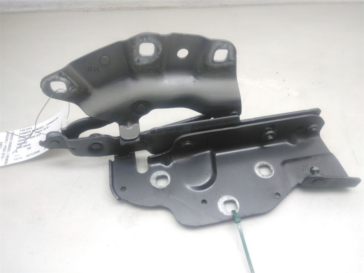 Panser Hengsel / Hengsler – bilde 2