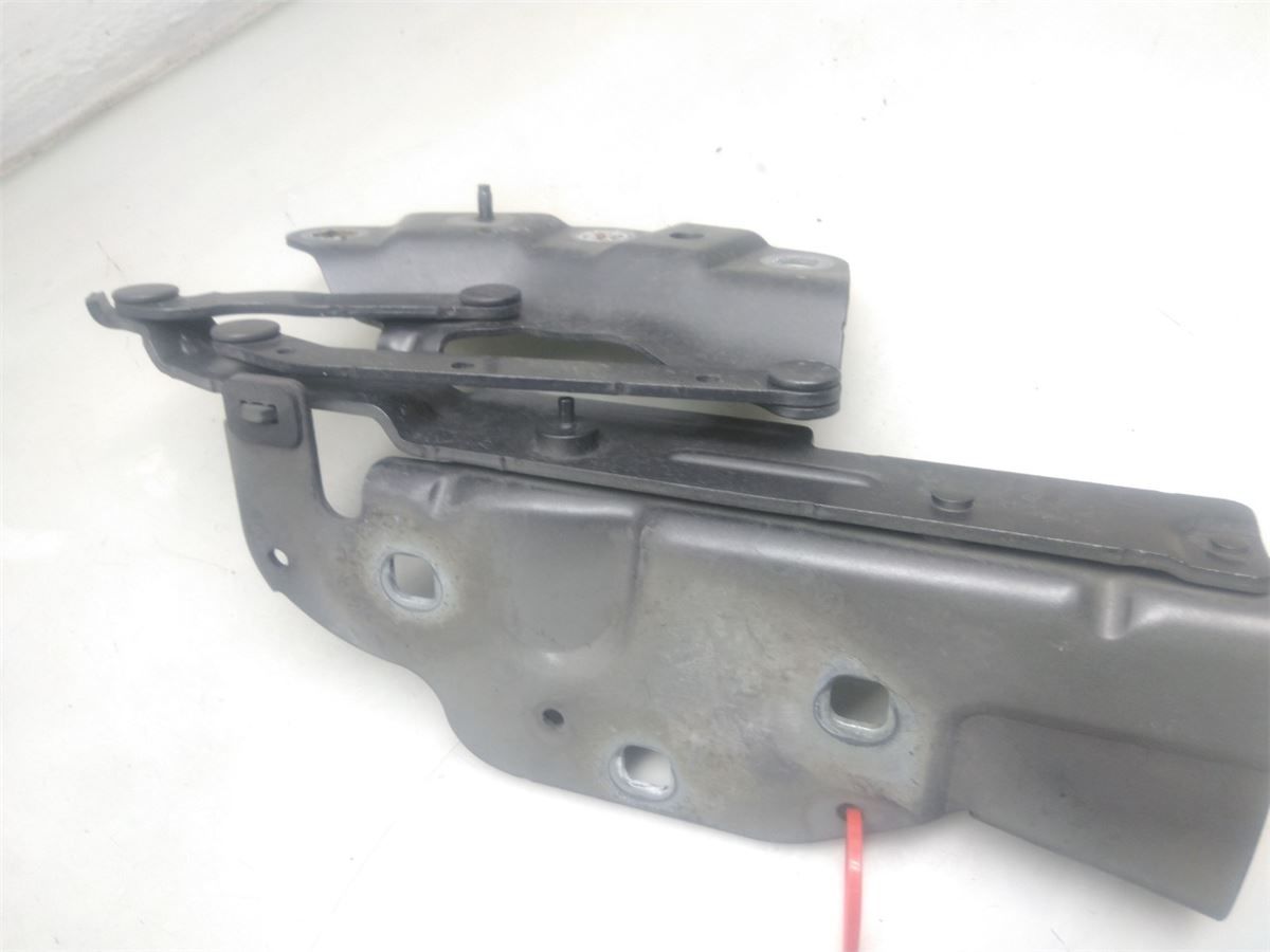 Panser Hengsel / Hengsler – bilde 1