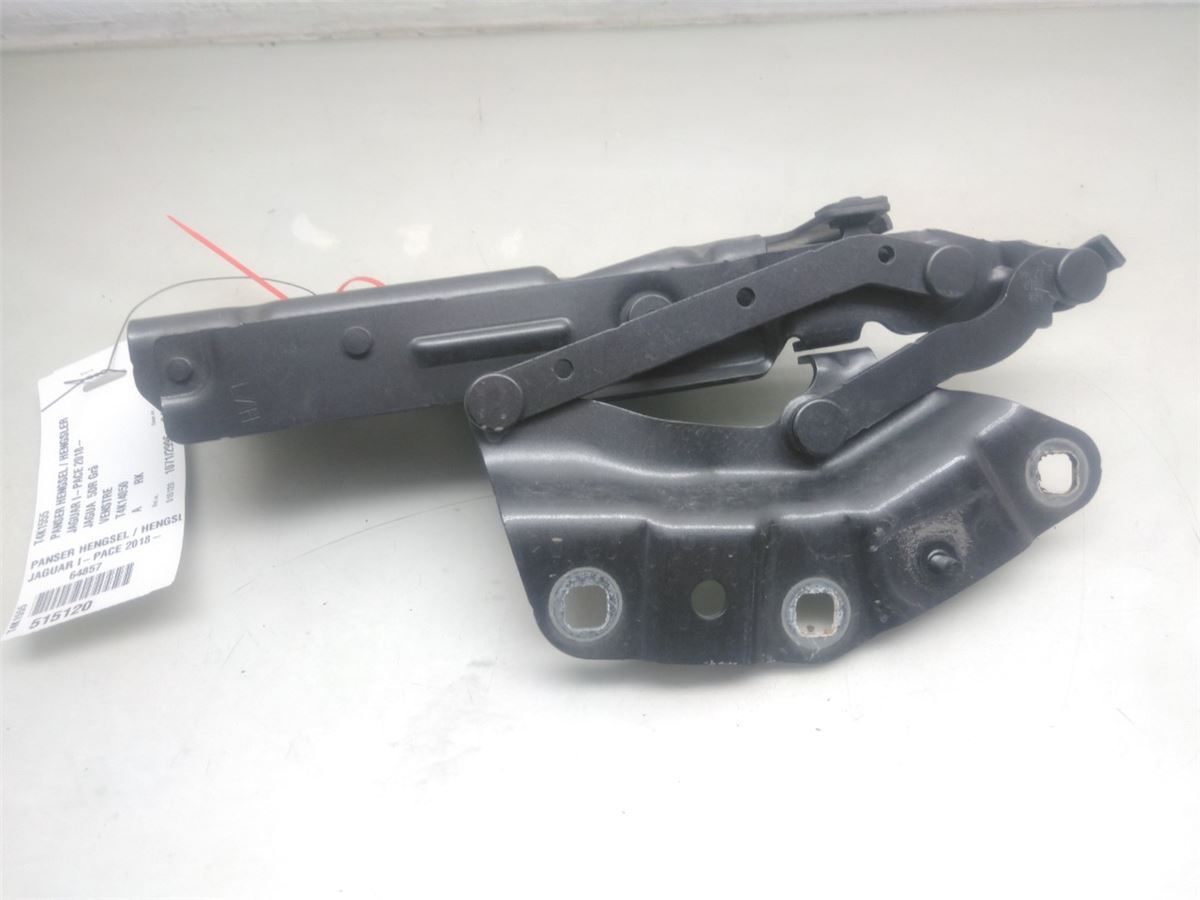 Panser Hengsel / Hengsler – bilde 2
