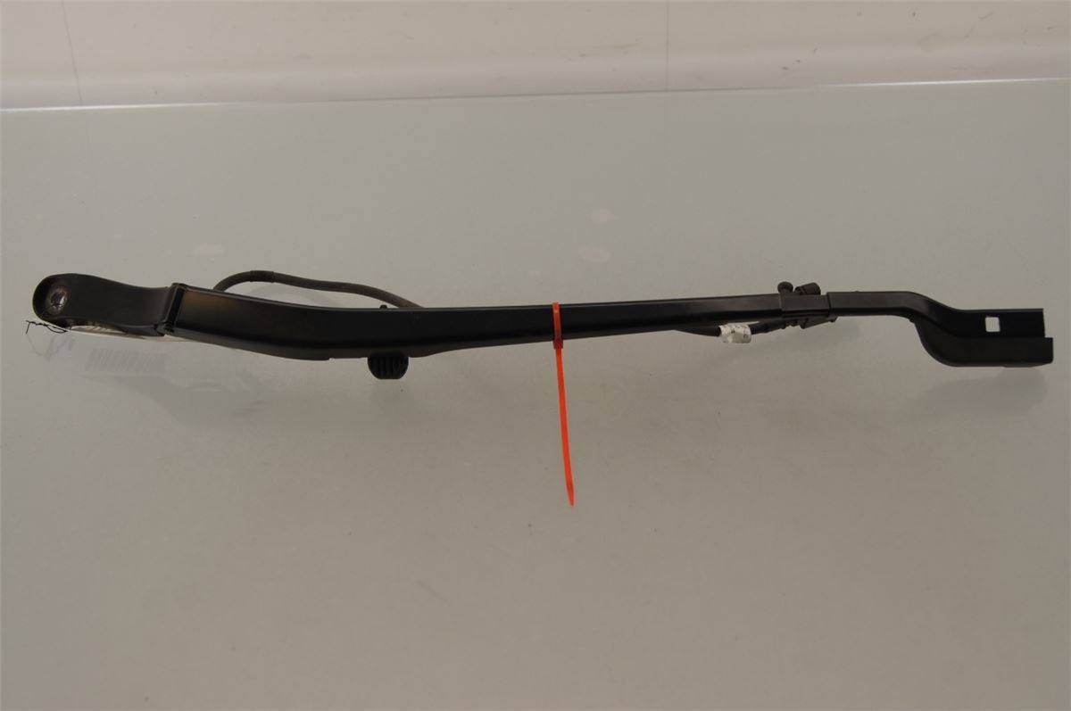 Viskerarm / Armer Frontrute – bilde 1