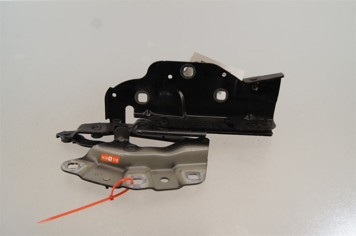 Panser Hengsel / Hengsler – bilde 1
