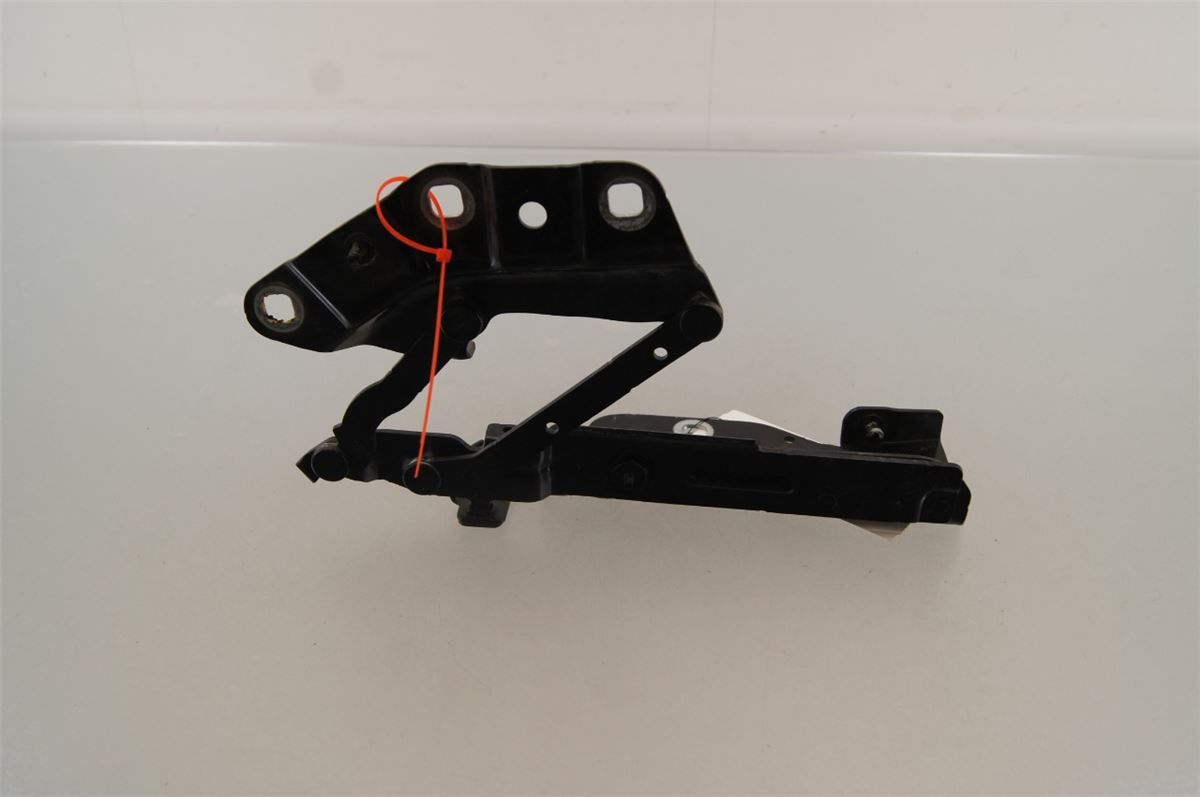 Panser Hengsel / Hengsler – bilde 2