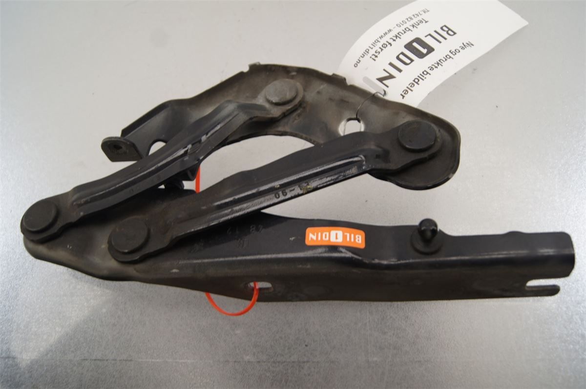 Panser Hengsel / Hengsler – bilde 1