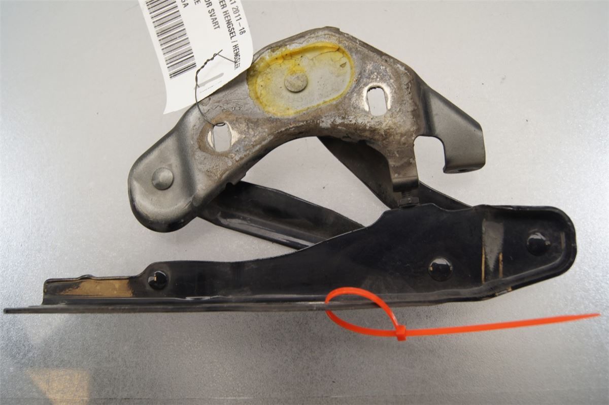 Panser Hengsel / Hengsler – bilde 2