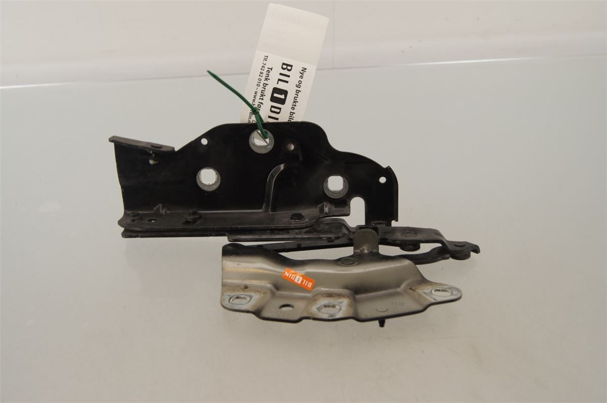 Panser Hengsel / Hengsler – bilde 1